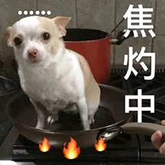 表情包
