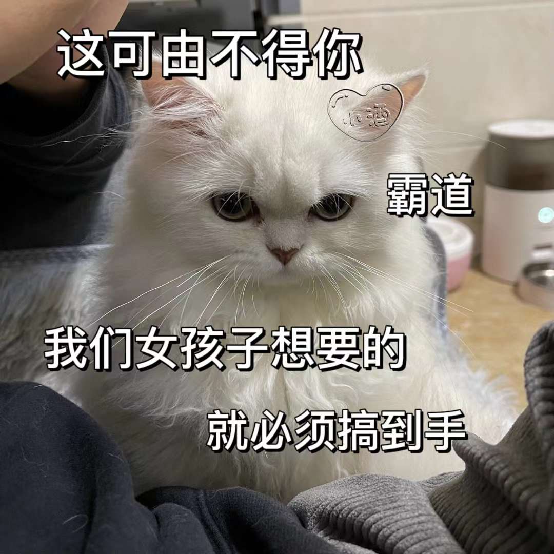 表情包