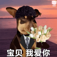 表情包