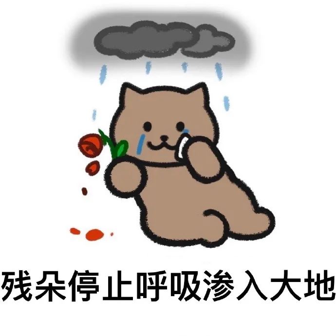 表情包 – 高清 GIF表情包 开放版权素材 免费下载 聊天斗图素材
