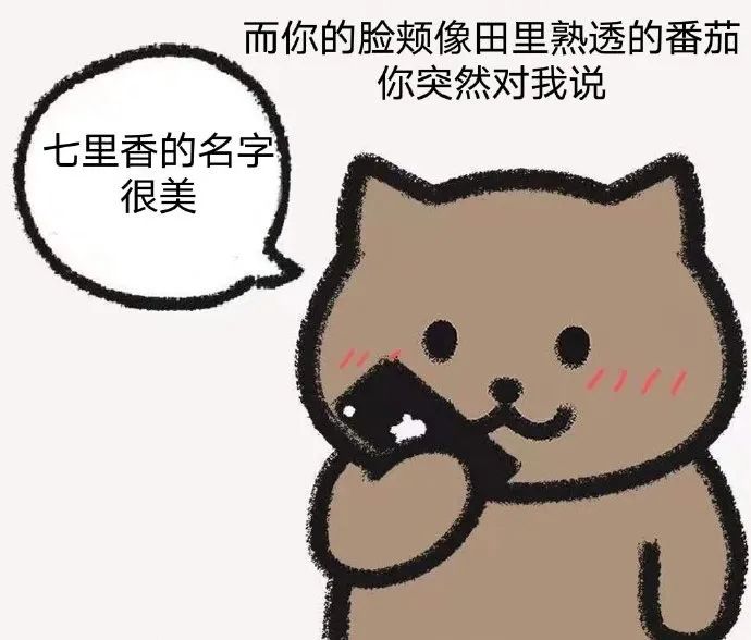 表情包