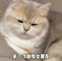 表情包