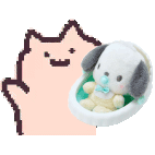 表情包