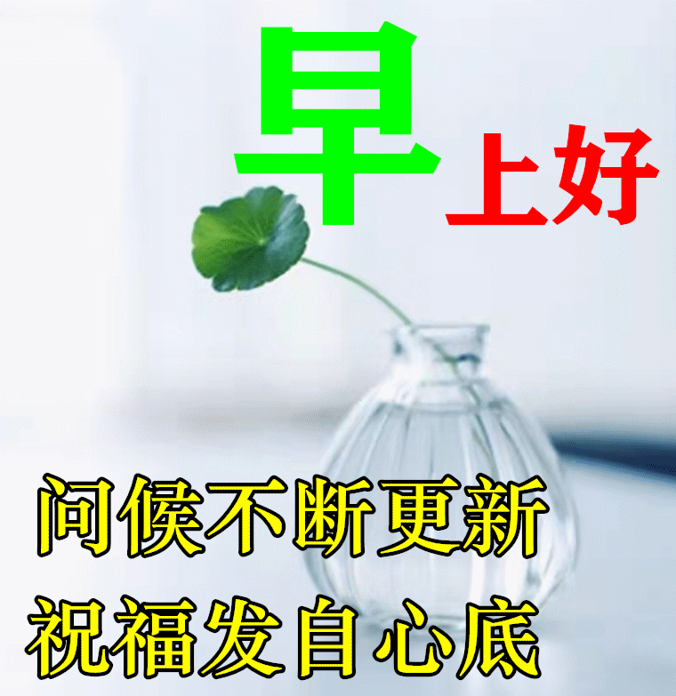 表情包 – 高清 GIF表情包 开放版权素材 免费下载 聊天斗图素材