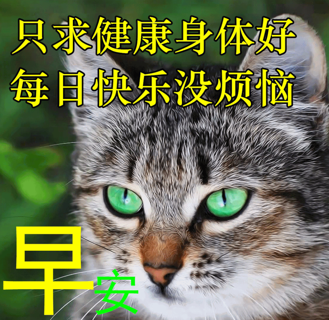 表情包