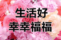 表情包
