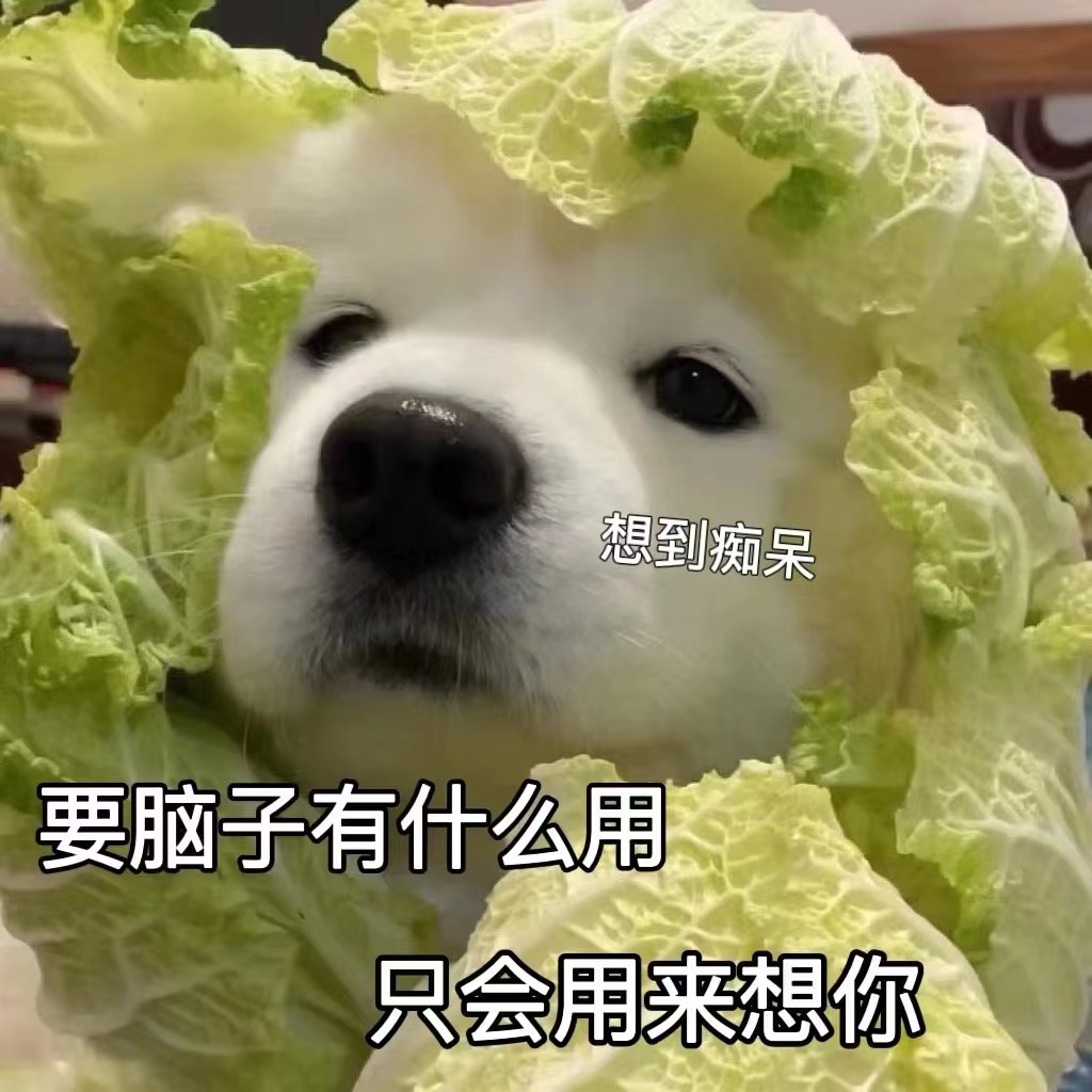 表情包