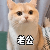 APP下载二维码