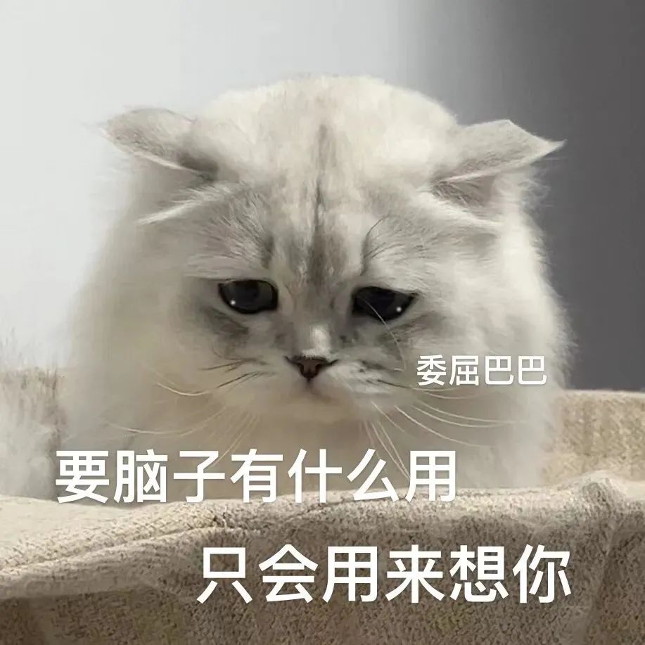 表情包 – 高清 GIF表情包 开放版权素材 免费下载 聊天斗图素材
