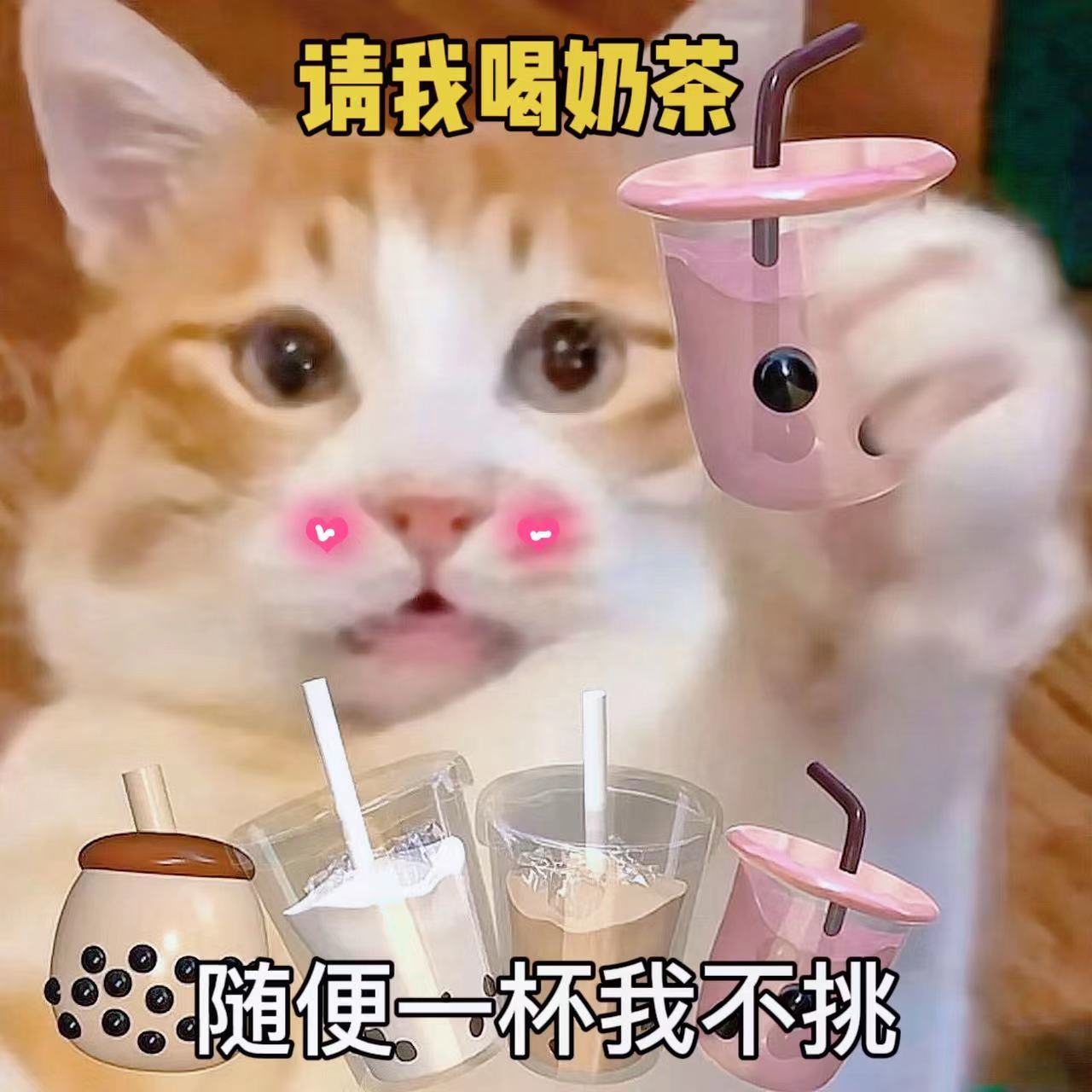 表情包