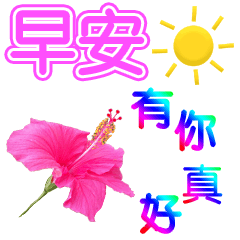 表情包