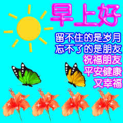 表情包