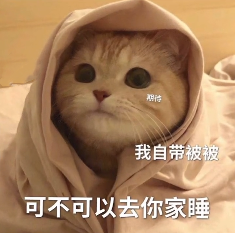 表情包 – 高清 GIF表情包 开放版权素材 免费下载 聊天斗图素材