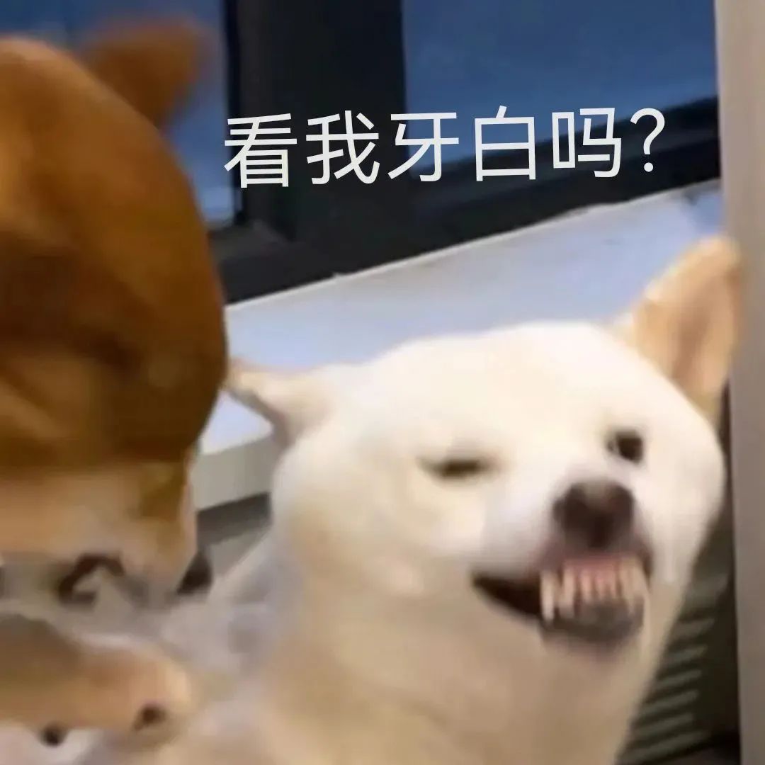 表情包 – 高清 GIF表情包 开放版权素材 免费下载 聊天斗图素材