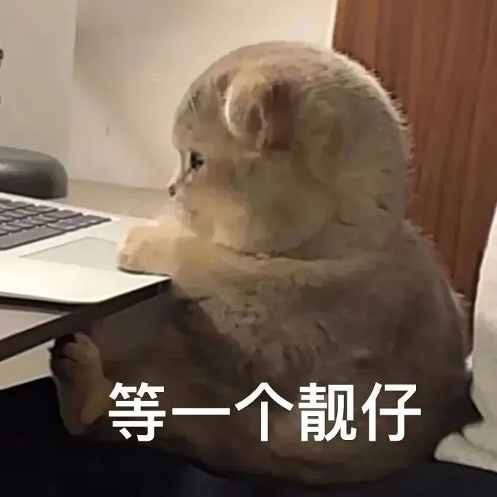 表情包