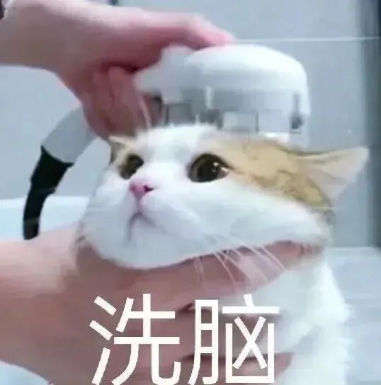 表情包