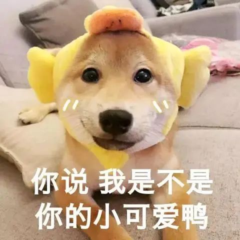 表情包