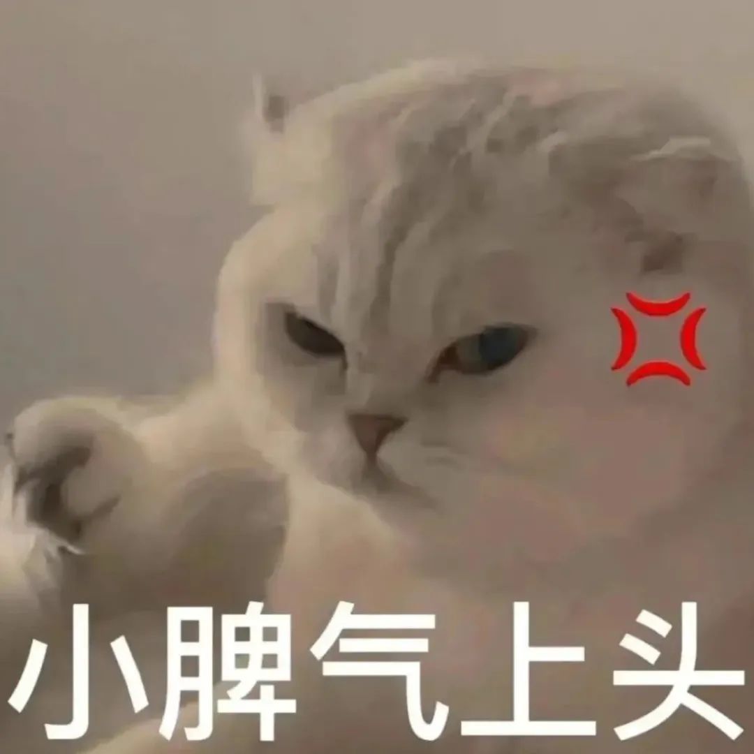 表情包 – 高清 GIF表情包 开放版权素材 免费下载 聊天斗图素材