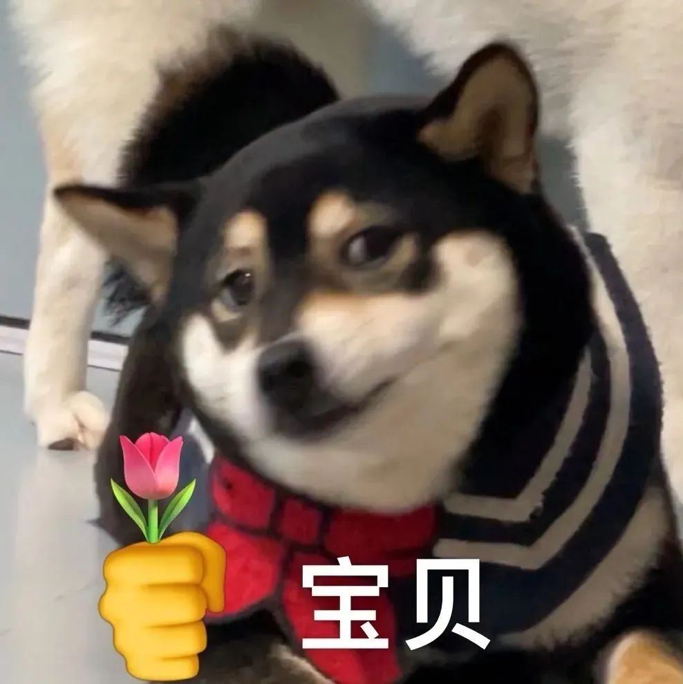 表情包