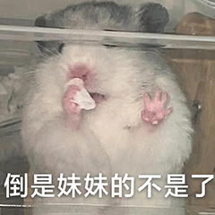 表情包 – 高清 GIF表情包 开放版权素材 免费下载 聊天斗图素材