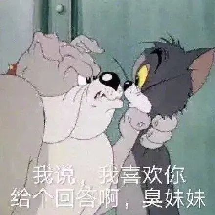 表情包 – 高清 GIF表情包 开放版权素材 免费下载 聊天斗图素材
