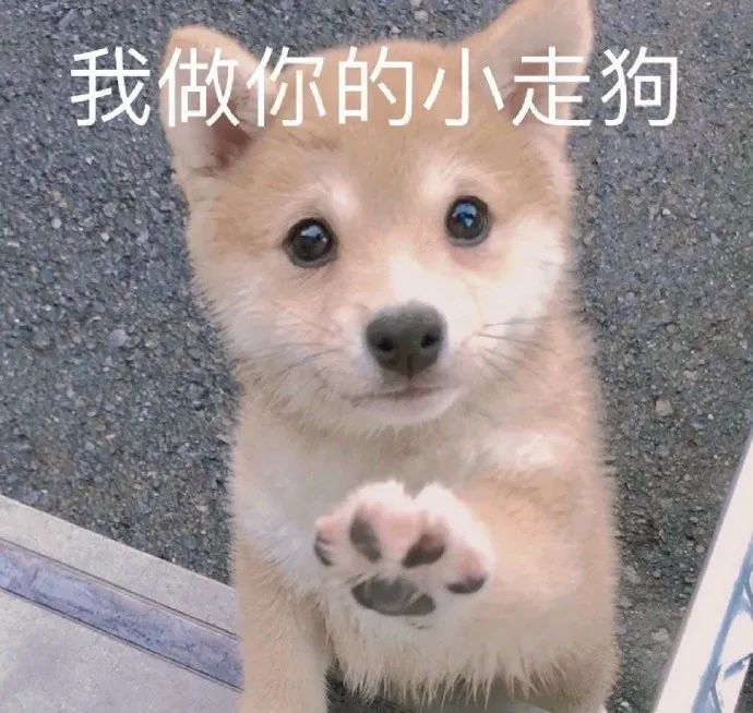 表情包