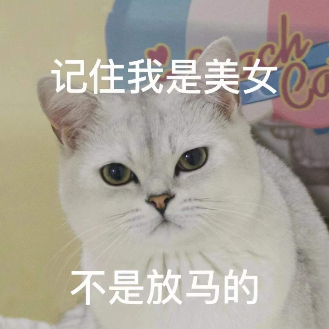 表情包