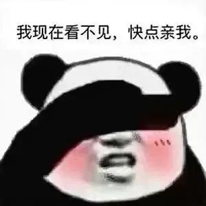 表情包 – 高清 GIF表情包 开放版权素材 免费下载 聊天斗图素材