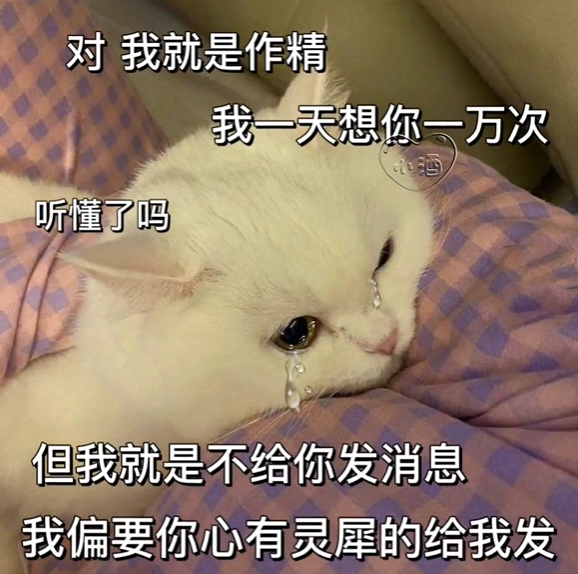 表情包