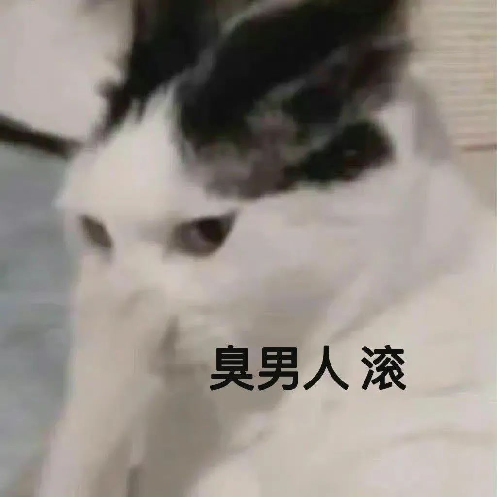 表情包 – 高清 GIF表情包 开放版权素材 免费下载 聊天斗图素材