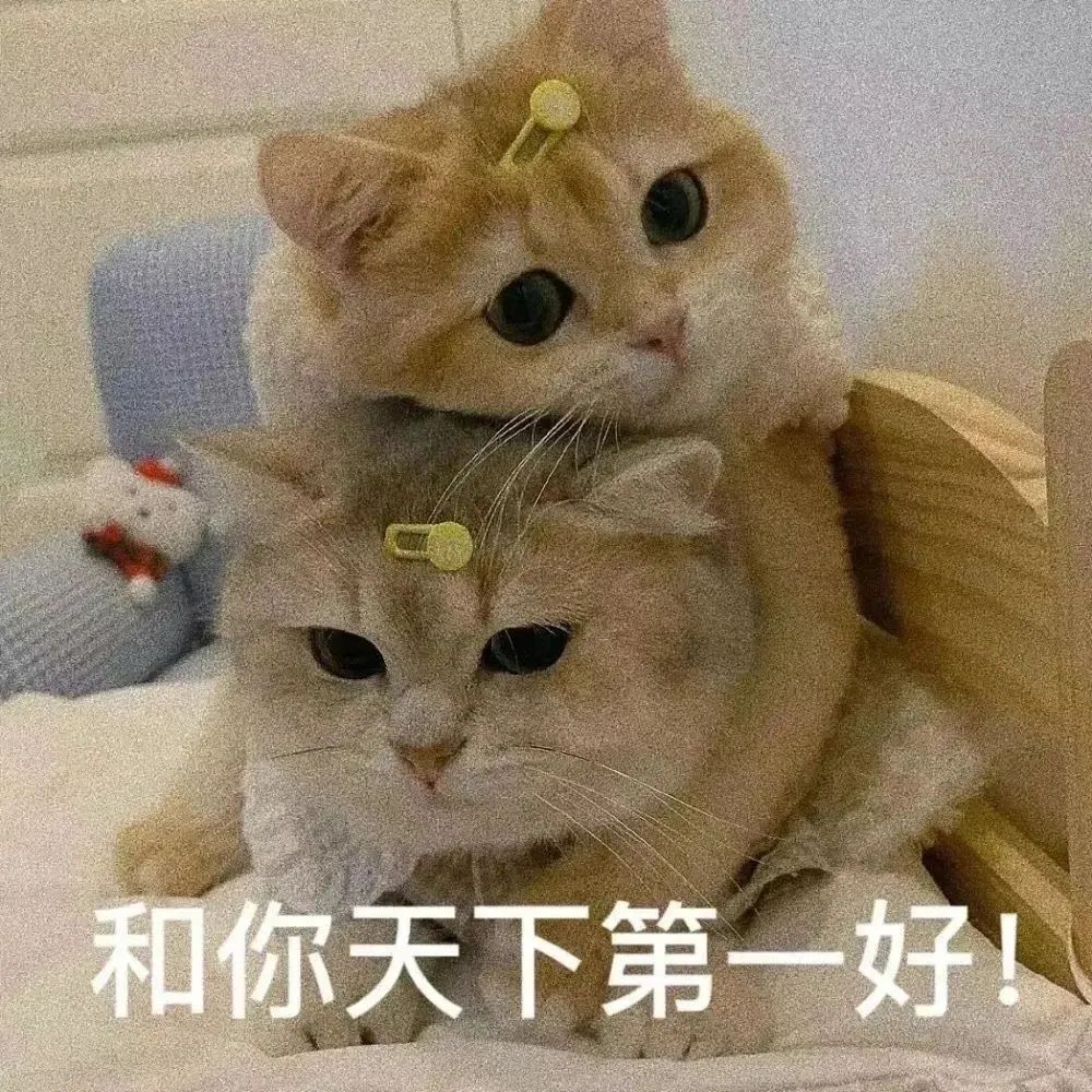 表情包 – 高清 GIF表情包 开放版权素材 免费下载 聊天斗图素材