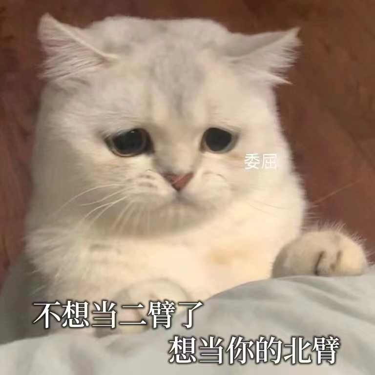 APP下载二维码
