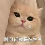 表情包