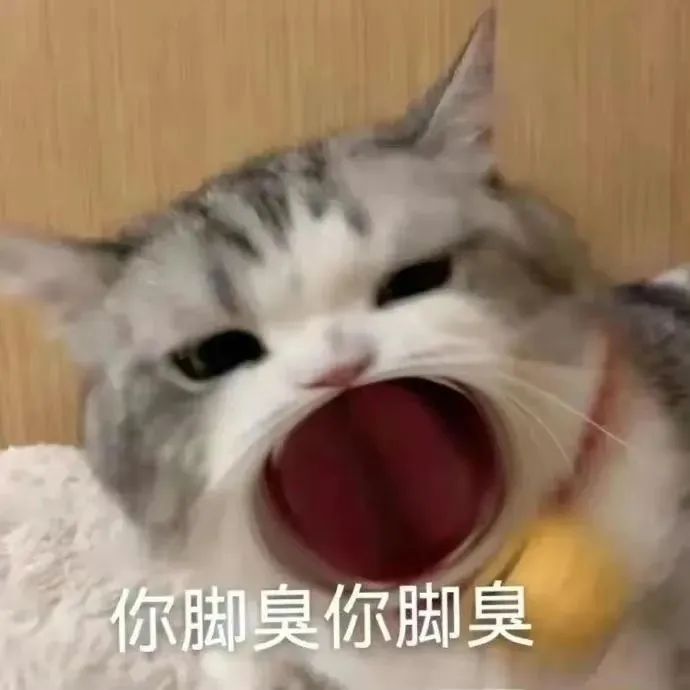 表情包 – 高清 GIF表情包 开放版权素材 免费下载 聊天斗图素材