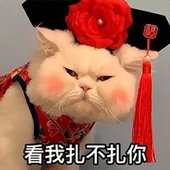表情包 – 高清 GIF表情包 开放版权素材 免费下载 聊天斗图素材