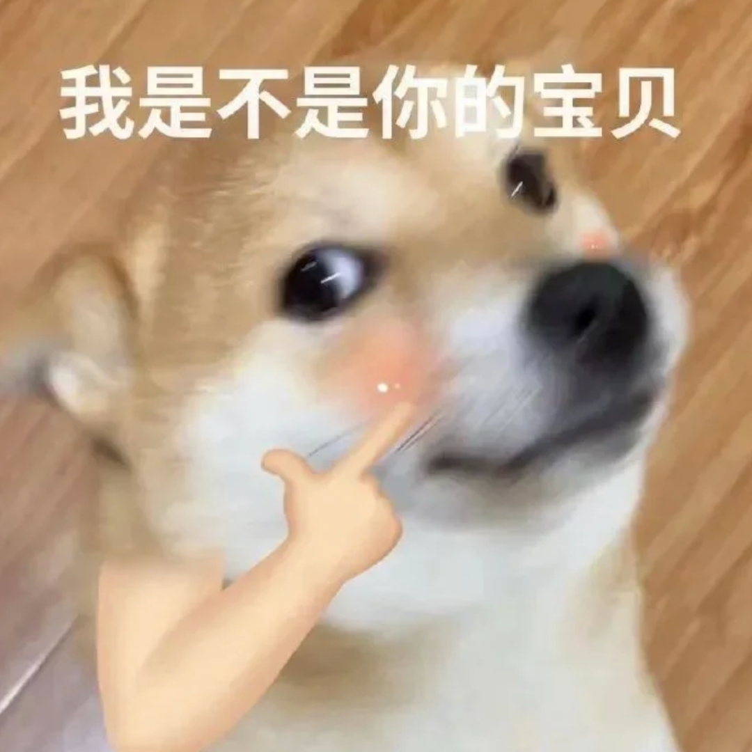 表情包 – 高清 GIF表情包 开放版权素材 免费下载 聊天斗图素材