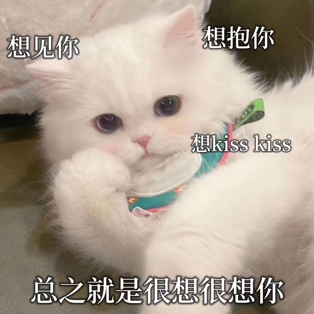 表情包