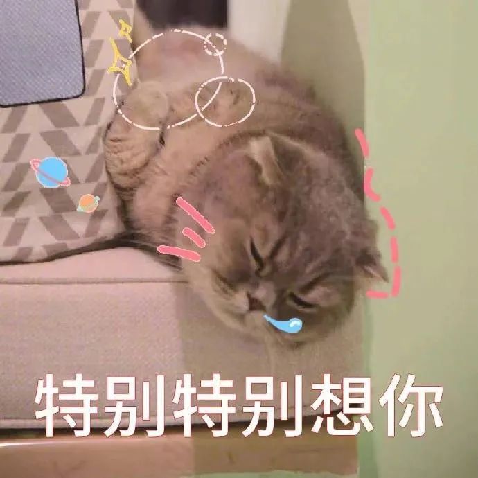 表情包