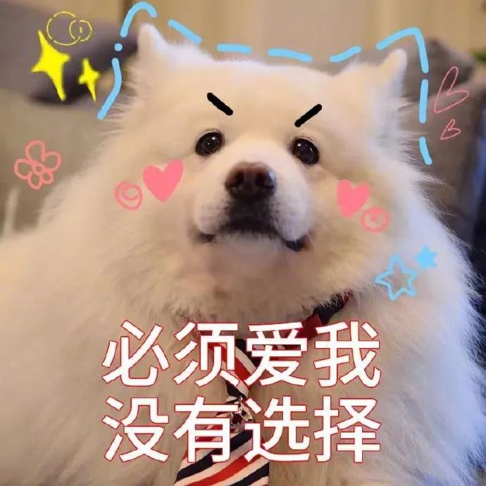 表情包