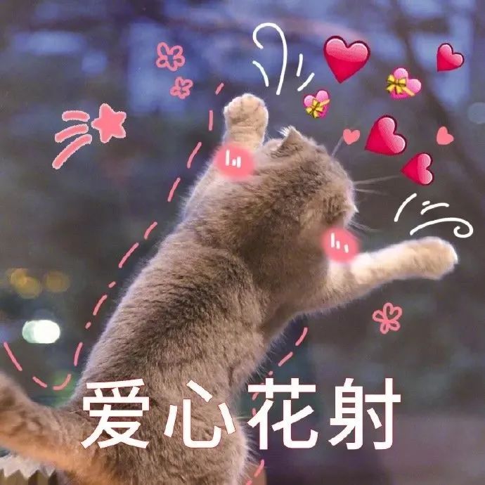 表情包 – 高清 GIF表情包 开放版权素材 免费下载 聊天斗图素材