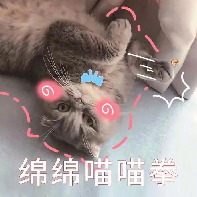 表情包 – 高清 GIF表情包 开放版权素材 免费下载 聊天斗图素材