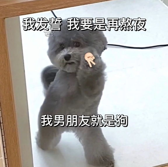 表情包 – 高清 GIF表情包 开放版权素材 免费下载 聊天斗图素材