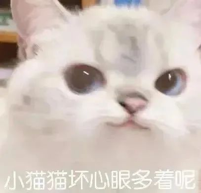 表情包 – 高清 GIF表情包 开放版权素材 免费下载 聊天斗图素材