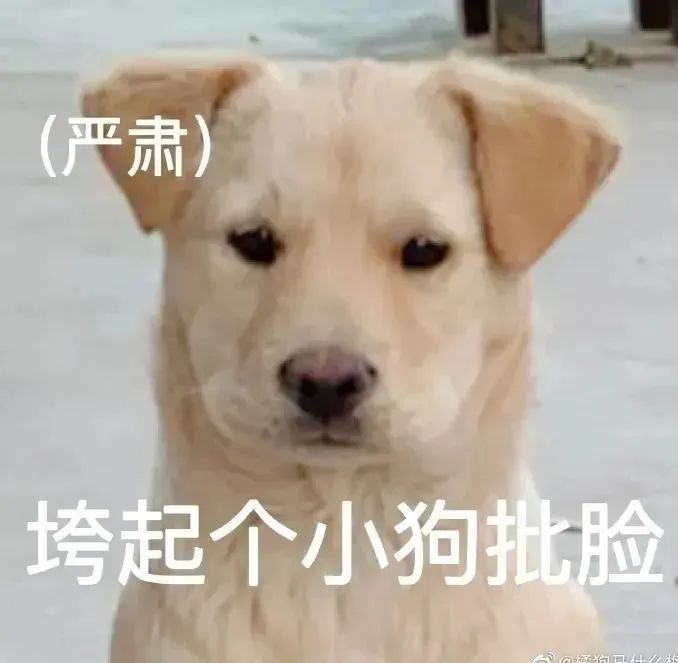 表情包