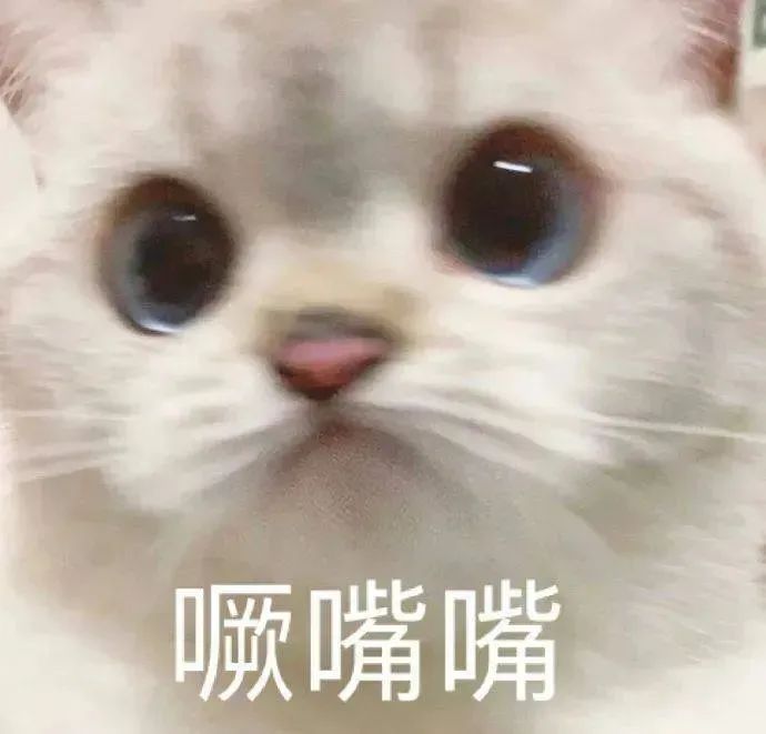 表情包