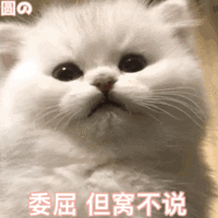 表情包
