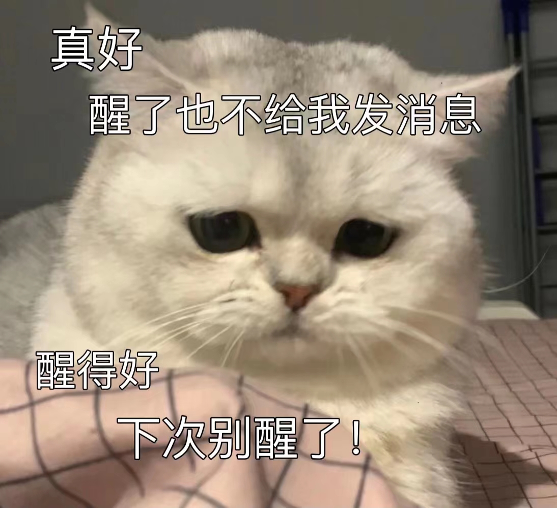 表情包 – 高清 GIF表情包 开放版权素材 免费下载 聊天斗图素材