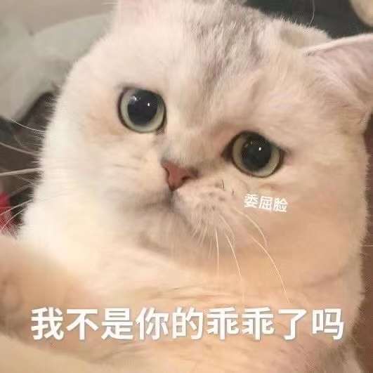 表情包