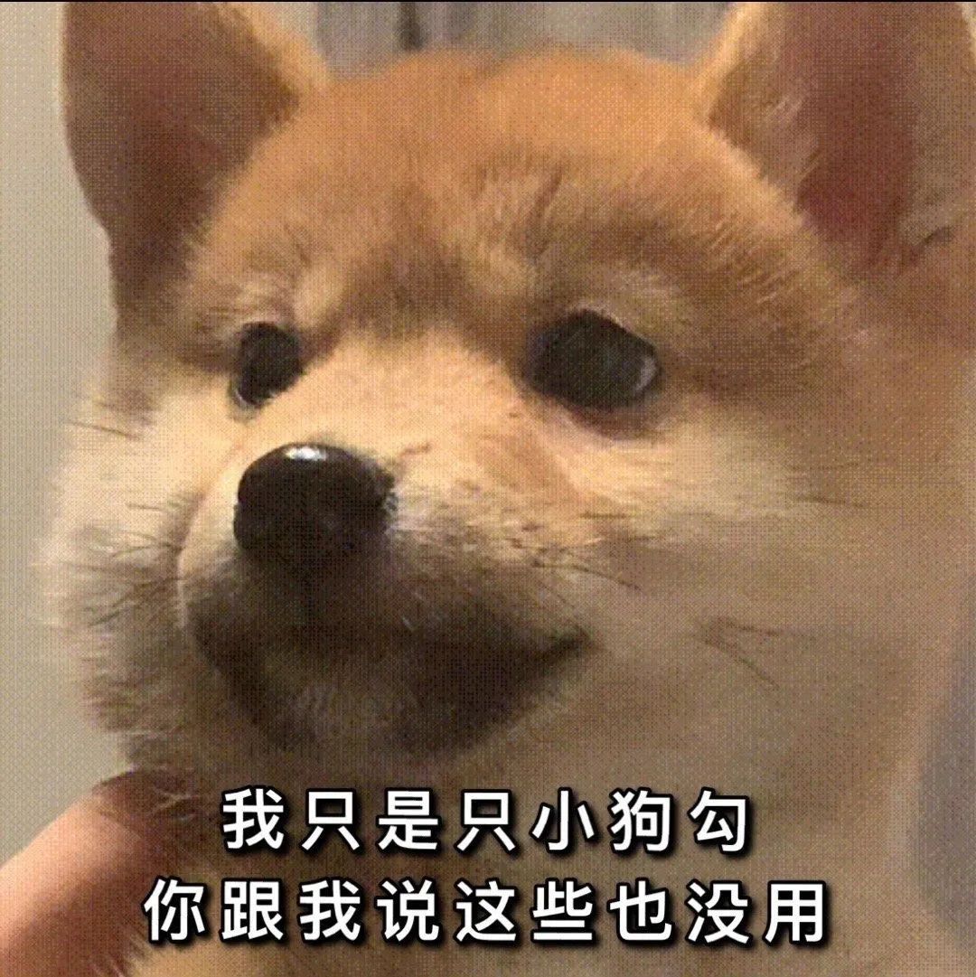 表情包