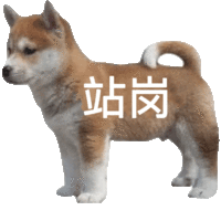 表情包